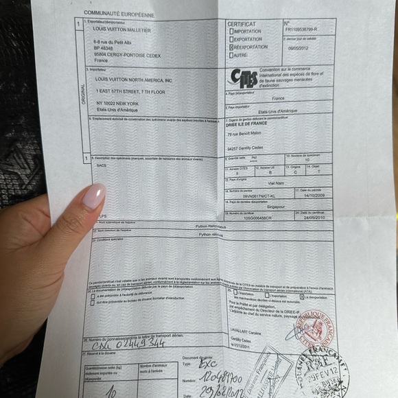 Louis Vuitton Python Artsy - Picture 6 of 15